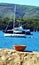 Elba island, boats in movement, Tyrrhenian waves and seashore, Italy