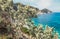 Elba island panoramic view of beautiful flowery coast with emerald water Tuscany, Italy.