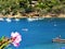 Elba Island, shore and boats in Bagnaia town, Tuscany, Italy