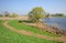 Elbe river ponds with willow tree