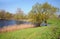 Elbe river ponds with willow tree