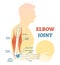 Elbow joint vector illustrated diagram, medical scheme.