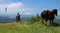 Elbrus Lermontov and a horse