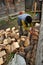 Elder man prepares the firewood for wintertime