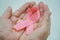 Elder woman hands holding pink breast cancer awareness ribbon. Medicine and healthcare concept. Mother and World cancer day