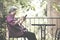 Elder woman holding mobile phone on terrace. elderly female text