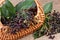 Elderberry in basket