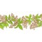 Elderberry branch vector pattern