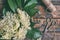 Elderflower blossom flower in wooden background. Edible elderberry flowers add flavour and aroma to drink and dessert. Sambucus ni