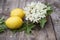 Elderflower and fresh lemons, lemonade ingredients