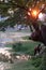 An elderly Asian woman washes clothes in a dirty river. The rays of the setting sun shine