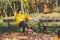 Elderly brown hair woman sitting on bench in autumn park