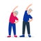 Elderly couple doing sport exercises.