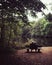 Elderly couple enjoying a relaxing afternoon on a park bench with a picturesque view of a lake