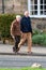 Elderly couple holding hands as they cross a road in a rural setting