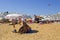 An elderly couple relaxing in the shade of a sun brolly on the sandy beach in Albuferia in Portugal