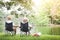 An elderly couple sit on a black chair in a shady garden and have a picnic basket for bread and fruit.