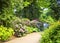 Elderly couple take a walk in Munich Botanical Garden