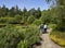 An Elderly Couple walk down a Curving path in the Rock Garden Area of St Andrews Botanic Gardens.