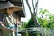 elderly elder woman senior gardener farmer watering plant in gar