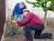 Elderly farmer shows another adult gardener caring for grape bush