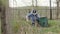 Elderly gardener woman working in garden backyard. Seasonal cleaning in garden