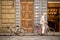 Elderly gentleman getting on his bicycle outside a bakery Florence