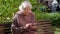 An elderly grandmother with gray hair with a phone is sitting on a park bench.