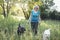 Elderly grayhaired woman with her dogs in the park