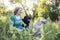 Elderly grayhaired woman with her dogs in the park. Portrait of a smiling senior female sitting with her golden and black