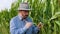 Elderly handsome farmer agronomist, examines corn leaves, close look, front view, hat on head.