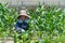 Elderly Japanese Woman Gardening