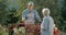 Elderly lady with a basket in her hand buys vegetables at the farmers market