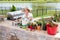 Elderly lady tending to her potted plants