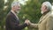 Elderly male friends shaking hands and hugging, meeting brothers, greeting