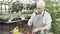 Elderly male gardener preparing the soil in pots for planting new plants in the greenhouse.