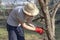 Elderly male in a straw hat cuts branches of an apple tree with a pruner in the garden