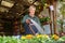 Elderly man as a gardener waters plants assortment