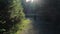 Elderly man with a backpack walking in the forest. Beautiful magic light