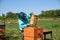 Elderly man beekeeper collects honey in honeycombs