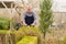 elderly man cuts bushes in the garden with large pruner.