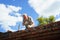 an elderly man dismantles the old brickwork and lays new bricks on the roof.