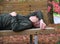 Elderly Man Enjoys a Nap on a Wooden Bench