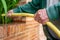 An elderly man hands holds a garden hose, he pours water over green vegetation. Side view, close up.