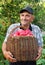 Elderly man, harvesting an apple