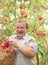 Elderly man harvesting a apple