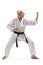 Elderly man practicing karate