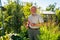 An elderly man with scissors for cutting bushes shear boxwood in shape of ball