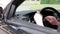 An elderly man sitting in the car, the camera from the window to the side rear view mirror