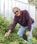Elderly man in vegetable garden.
